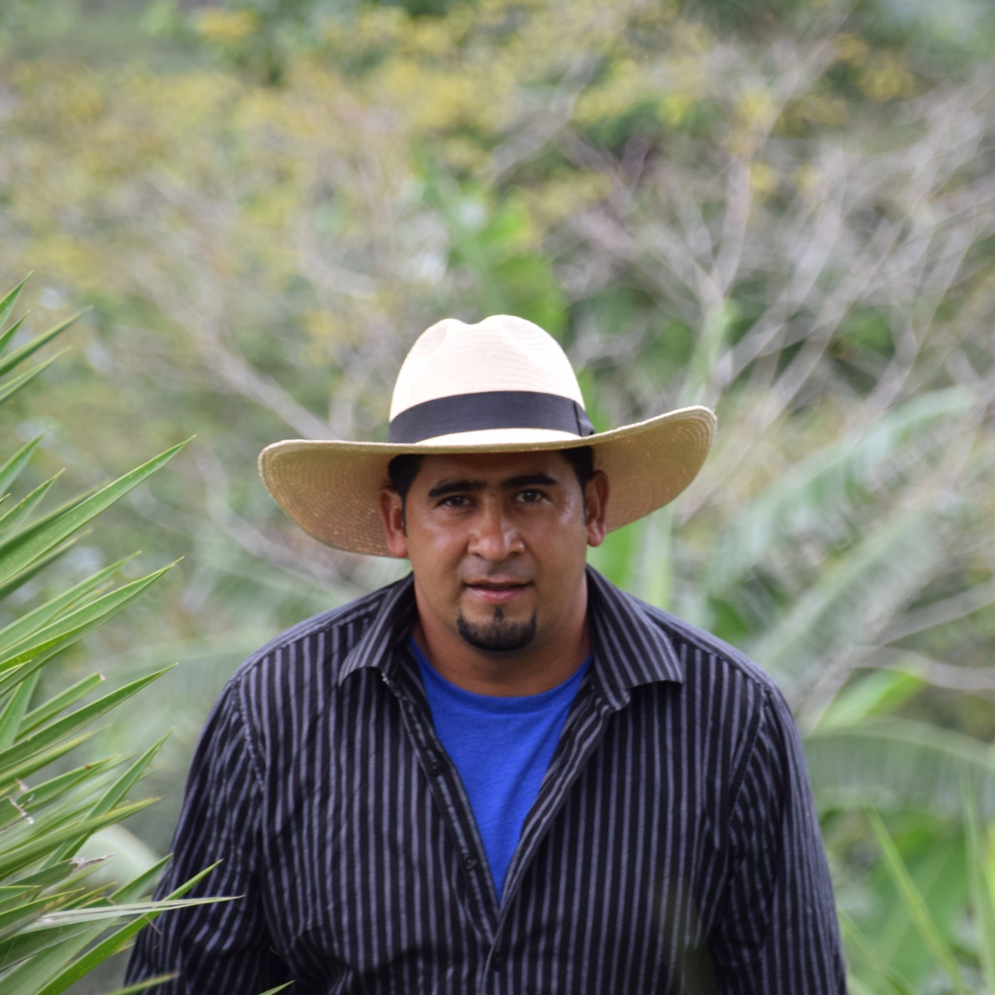 Pedro Turcios of the COMSA cooperative