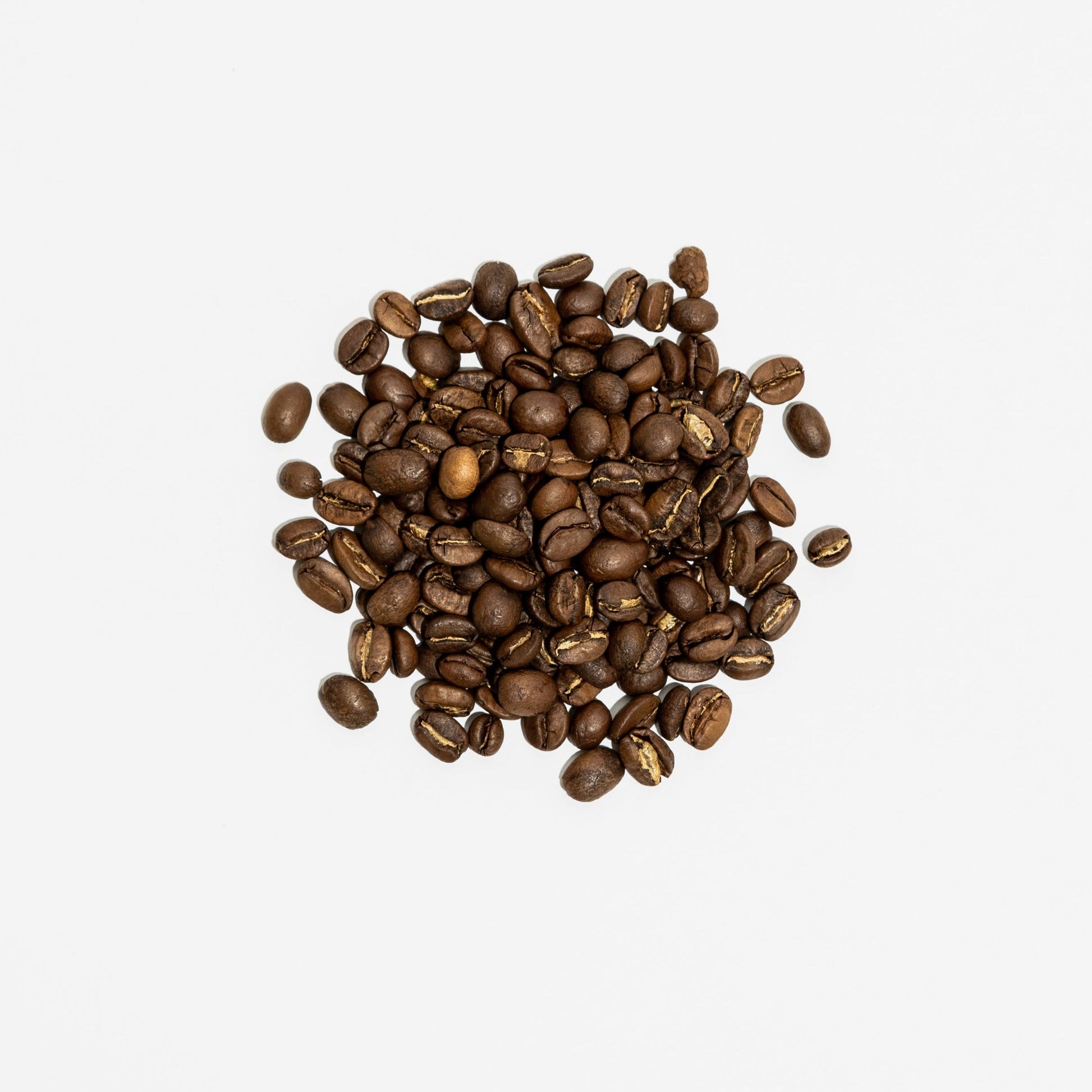 Espresso Blend 5lb - Office Subscription - Bongo Roasting Co.